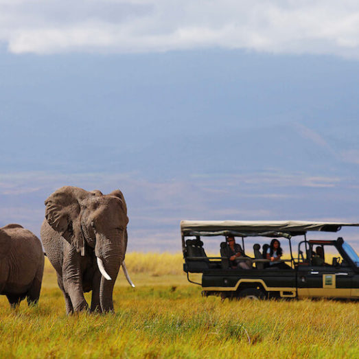 Game spotting elephants from a safari truck in Amboseli National Park