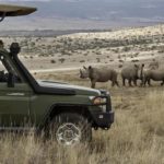 Game spotting white rhinos from a safari truck at Lewa Conservancy