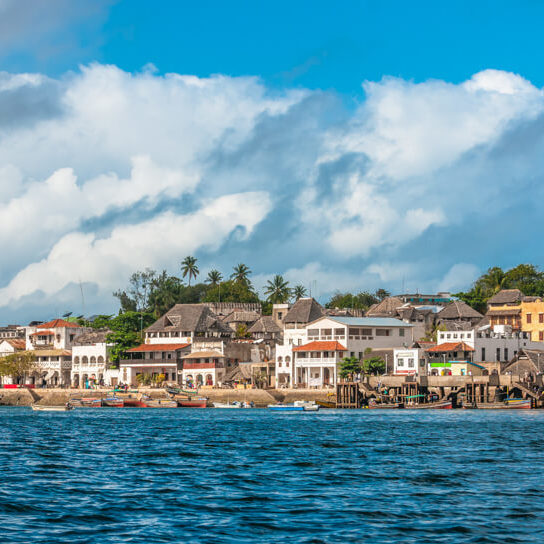 A view of Lamu Town from the Indian Ocean