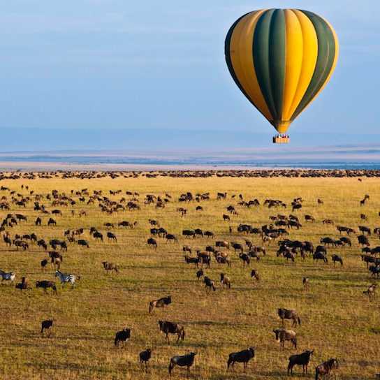 A hot air balloon over the plains of the at Masai Mara Game Reserve, with wildebeest and zebra below