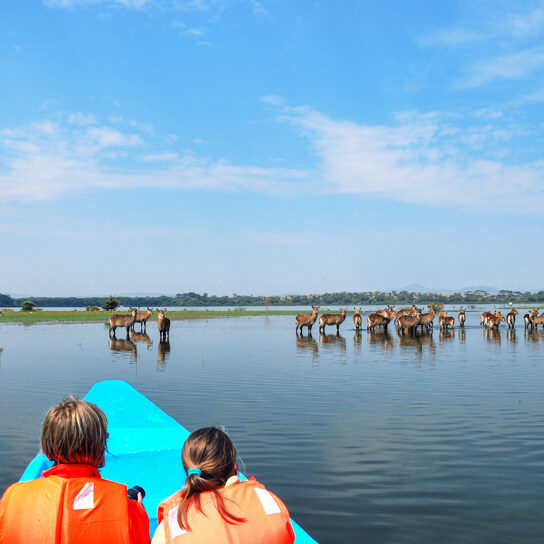 Children game spotting waterbuck from a boat cruise on Lake Naivasha
