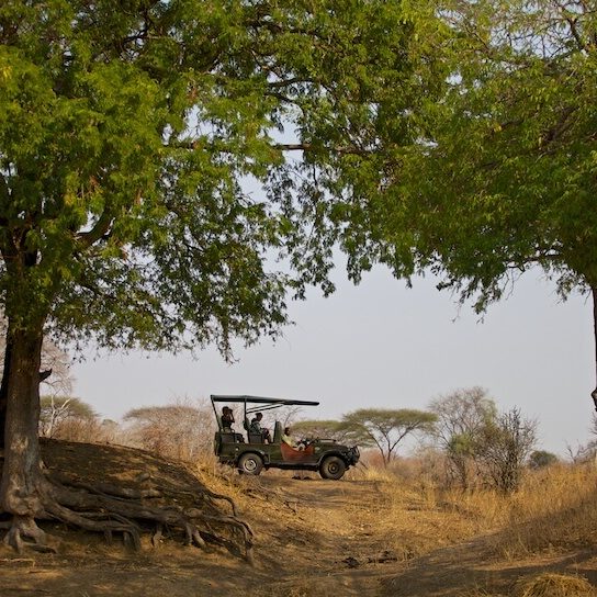 A game drive in The Ruaha National Park