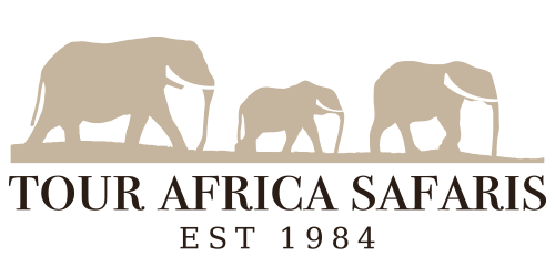 Tour Africa Safaris Logo