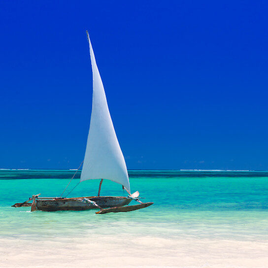 A dhow in the Indian Ocean off the coast of Zanzibar