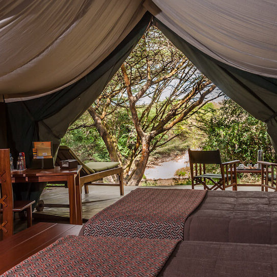 Ilkeliani Camp, Safari Adventure